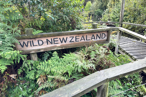 Tour privato di mezza giornata dei luoghi più belli di Christchurch