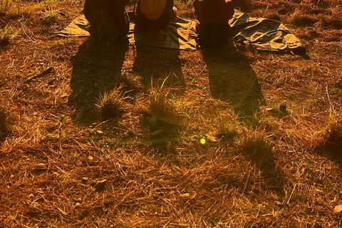 Dalat: Cloud Chasing packaged hike - Sunrise Pickup Included Group Packaged Tour - Free photo & video taken by tour guide