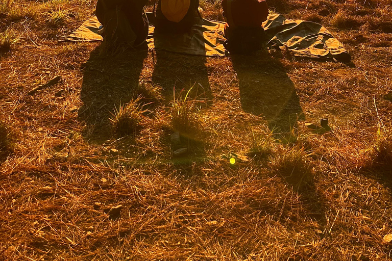 Dalat: Cloud Chasing packaged hike - Sunrise Pickup Included Group Packaged Tour - Free photo & video taken by tour guide