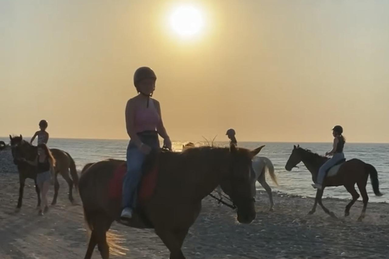 جزيرة رودس: ركوب الخيل على الشاطئ عند غروب الشمس