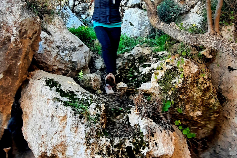 Gozo avtäckt: Guidad vandring med bouldering