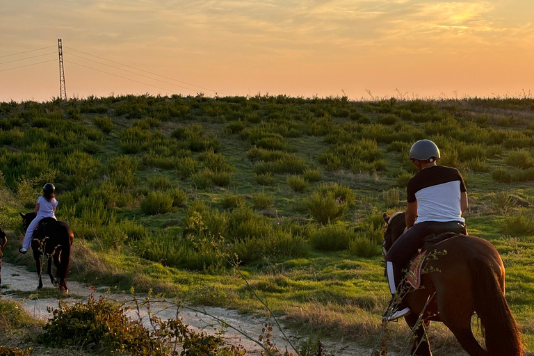 Romantic Experience with horses in the Natural Reserve WWF
