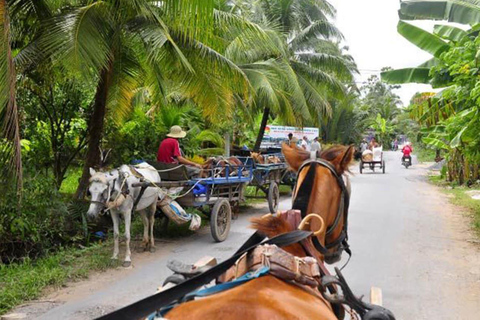 Tour privato di Ho Chi Minh: Tour di un giorno sul Delta del MekongOpzione 1: Solo trasporto