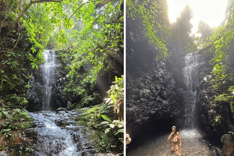 Kuala Lumpur: Taman Negara nationalpark Teras vattenfall