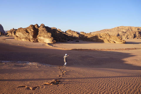 Wadi Rum: Ganztagestour nach Umm Ad Dami mit Mittagessen