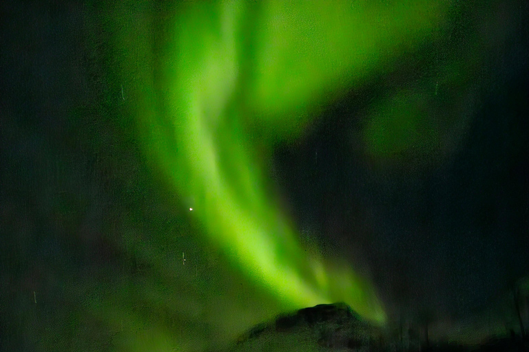 Tromsø:Tour de la aurora boreal en minibús por Tromsø