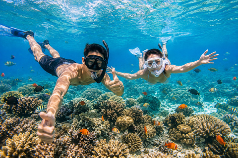 Labuan Bajo: Komodo Full Day Tour & Snorkeling with All Fees