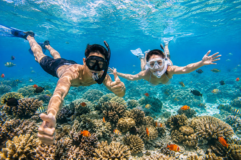 Labuan Bajo: Komodo Full Day Tour & Snorkeling with All Fees