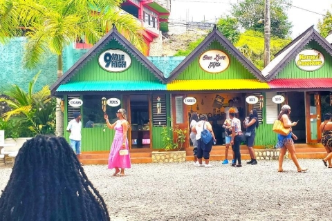 Montego Bay: Bob Marley Tour do 9 Mile, St. AnnPrywatna wycieczka
