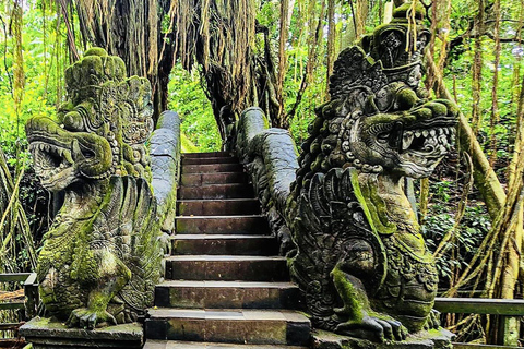Ubud: Waterfalls, Sacred Monkey Forest & Rice Terraces Tour Private Half-Day Tour (5-6 Hours)