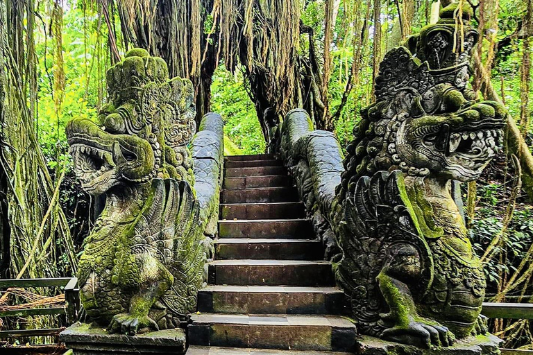 Ubud: Waterfalls, Sacred Monkey Forest & Rice Terraces Tour Private Half-Day Tour (5-6 Hours)