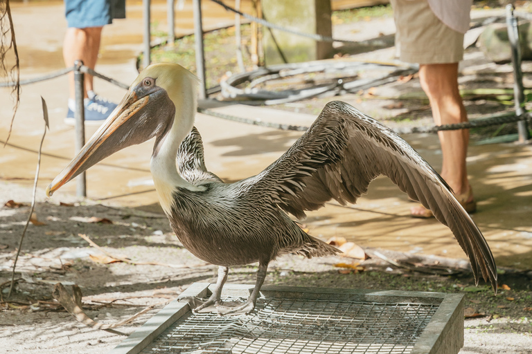 Fort Lauderdale: Flamingo Gardens Eintrittskarte