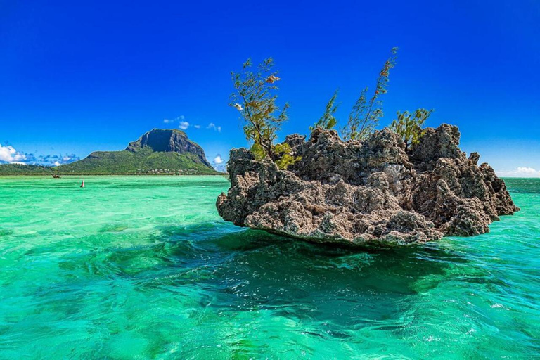 L'île des Bénitiers : Observation des dauphins, plongée en apnée et déjeuner barbecue