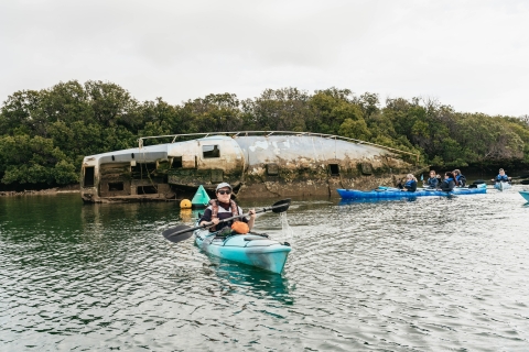 Adelaida: tour ecológico en kayak por el santuario de delfines