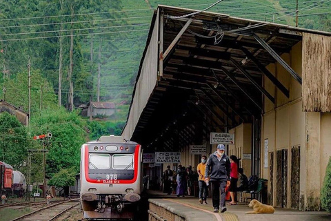 Ella To Kandy Private Transfer With Train Ride Experience