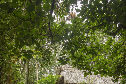 Tarapoto's Hidden Abyss - Exploring the Palestine Cave