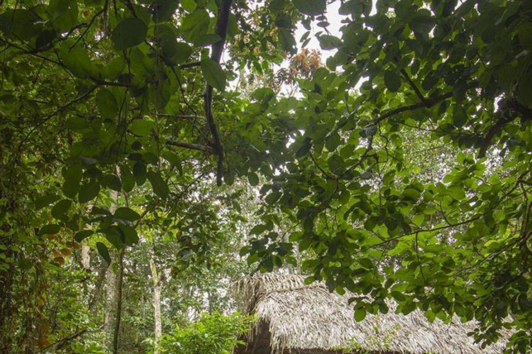 Tarapoto's Hidden Abyss - Exploring the Palestine Cave