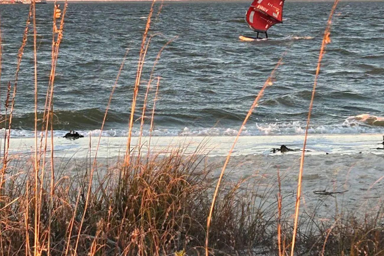 Ocean Springs: WingFoil Lesson