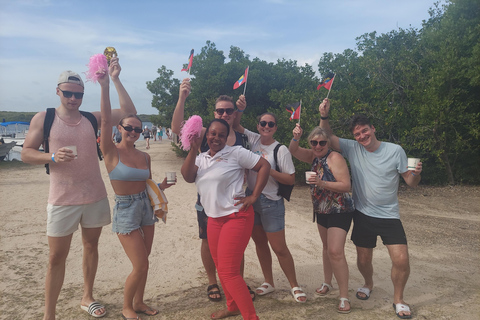 St. John's Laviscount Island Giant Tortoises &Long Bay Beach