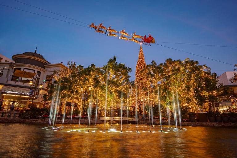 Los Angeles: Holiday Lights Tour & Rodeo Dr Walking Tour