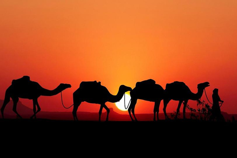 Djerba: Desert sunset, Bedouin evening, and aperitif included Djerba: Sunset in the desert, Bedouin evening, and aperitif included