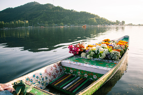 Srinagar: Private Day Tour with Shikara Ride at Dal Lake From Delhi: Private Day Tour with Shikara Ride at Dal Lake