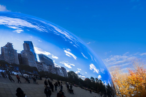 Chicago: Millennium Park Guided Walking Tour