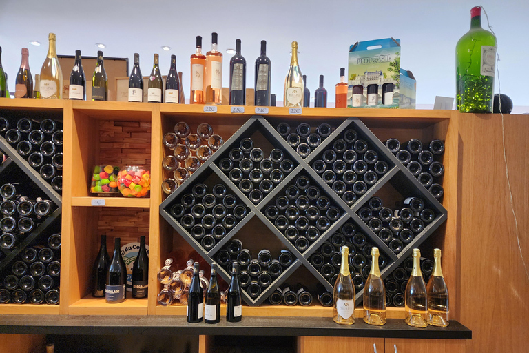 Loire Valley Wine Tour from Paris: 2 Wineries & 10 Tastings Premium Option
