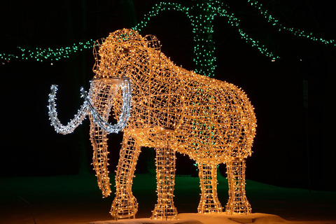 Desde Toronto: Excursión al Festival de Invierno de las Luces de las Cataratas del NiágaraRecorrido estándar con traslado