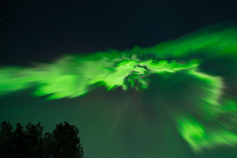 روفانييمي: مطاردة الشفق القطبي الشمالي مع خدمة التوصيل من الفندق