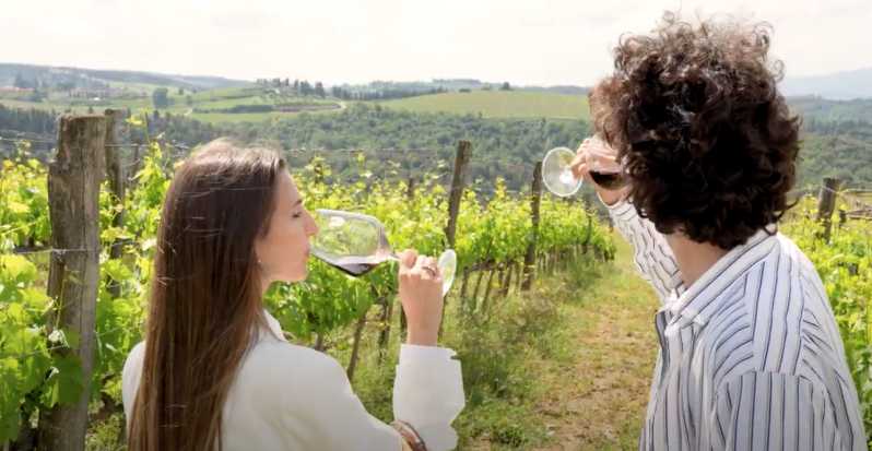 Ze Sieny: Brunello di Montalcino Wine Tour minivanem