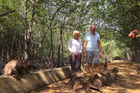 Tour di un giorno della Foresta delle Mangrovie e dell&#039;Isola delle Scimmie di Can Gio