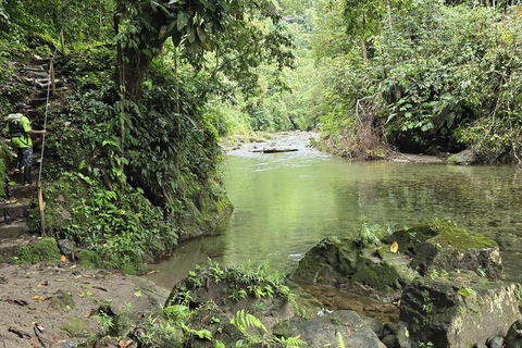 Cali: Tagesausflug zur Donau und zur Oase La Sirena. Ab CaliCali: Tagesausflug zur Donau und zur Oase der Meerjungfrau. Ab Cali