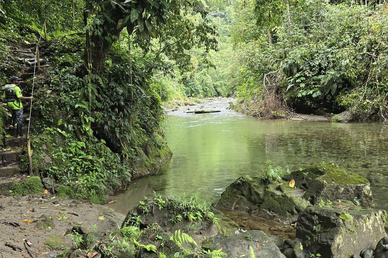 Cali: Tagesausflug zur Donau und zur Oase La Sirena. Ab CaliCali: Tagesausflug zur Donau und zur Oase der Meerjungfrau. Ab Cali