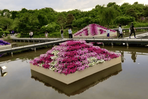 From Tokyo: Ashikaga Flower Park Day Trip with English Guide Ashikaga Full Day Private Customized Tour With English Guide