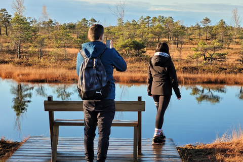 Ķemeri Great Bog With Optional Sunrise & Jūrmala Visit Ķemeri Bog Shared Small Group Tour