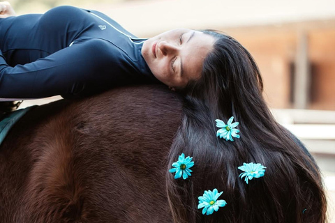 巴库骑马体验：邂逅世界名驹标准套餐