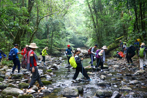 Ho Chi Minh City: Bidoup e Ta Giang Tour di trekking di 2 giorniHo Chi Minh City: tour di 2 giorni con trekking a Bidoup e Ta Giang