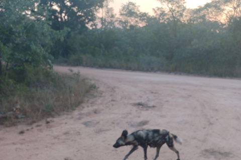 Safari di 3 giorni nel Parco Nazionale Kruger