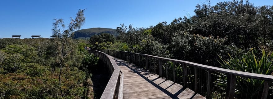 Sunshine Coast : circuit Easy Peasy Novotel North en vélo électrique