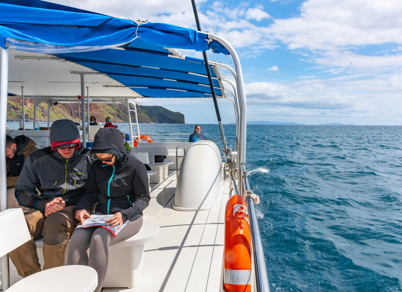 Fra Funchal: Delfin- og hvalsafari på Madeira