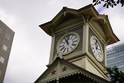 Sapporo: Golden Route Walking Tour