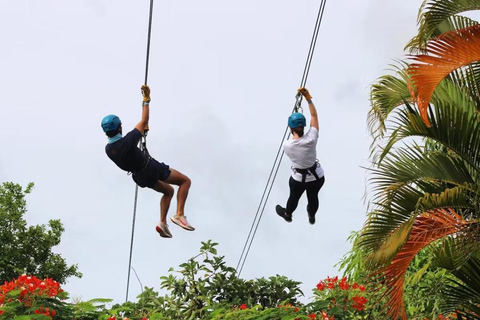Río Grande : Zipline dans la forêt tropicale