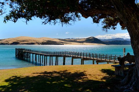 Auckland: Bay of Islands dagstur med guidad kryssning med delfiner