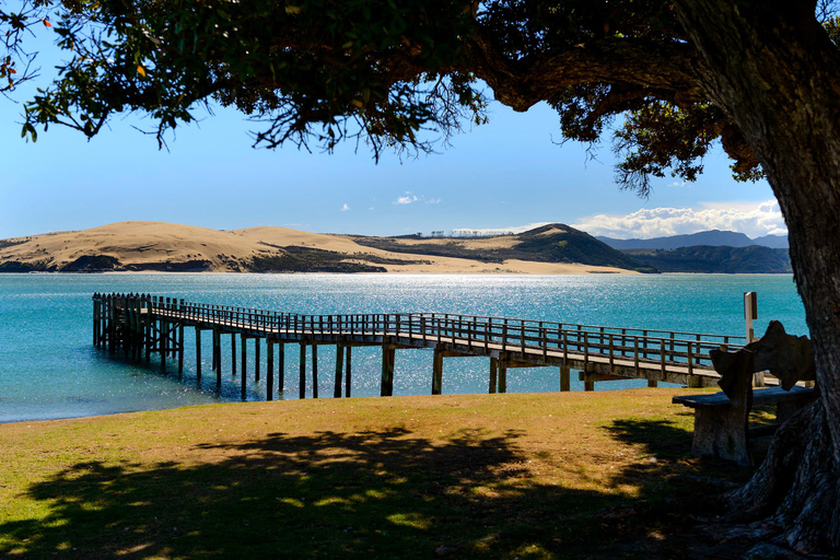 Auckland: Bay of Islands dagexcursie met dolfijnen