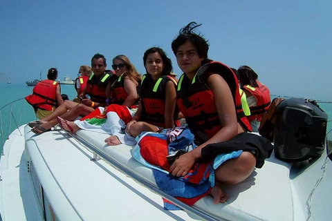 Lima: Palomino Island Marine Adventure Tour swimming with Sea Lions