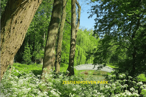 Rotterdam countryside on the wheels - bike tour around city