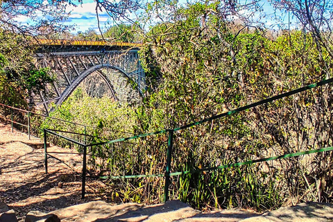 Guided Hike under the Bridge into the Zambezi Gorge Victoria Falls: Gorge Hike under the Bridge