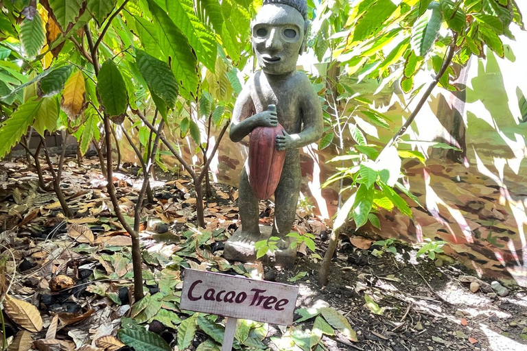 Sabor Dominicano: Rum, Chocolate and Culture Private Tour Sabor Dominicano: Rum, Chocolate and Culture Private Tour