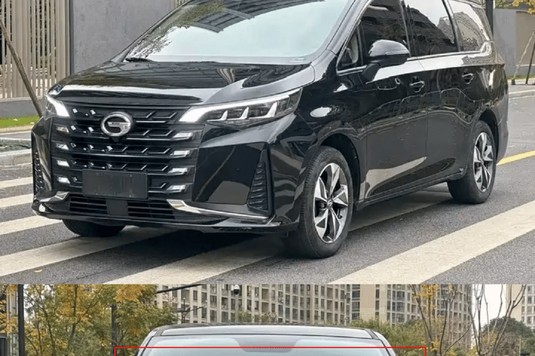 Guangzhou: Private Luxury Vehicle Tour - English or Spanish Guangzhou 8 Hour Tour - VOYAH DREAMPOWER/Buick
